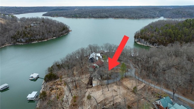 aerial view featuring a water view and a view of trees