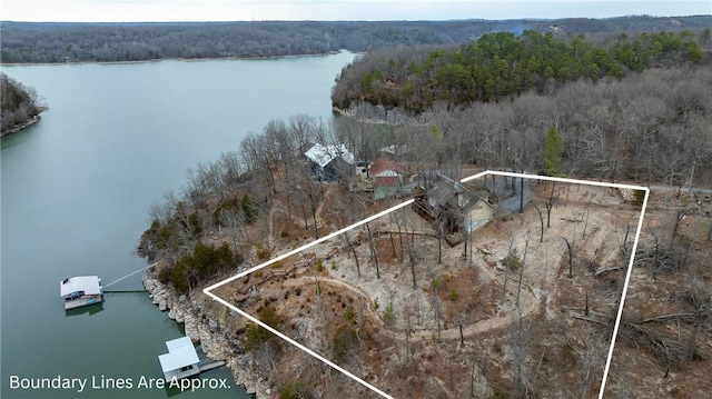 bird's eye view with a water view and a forest view