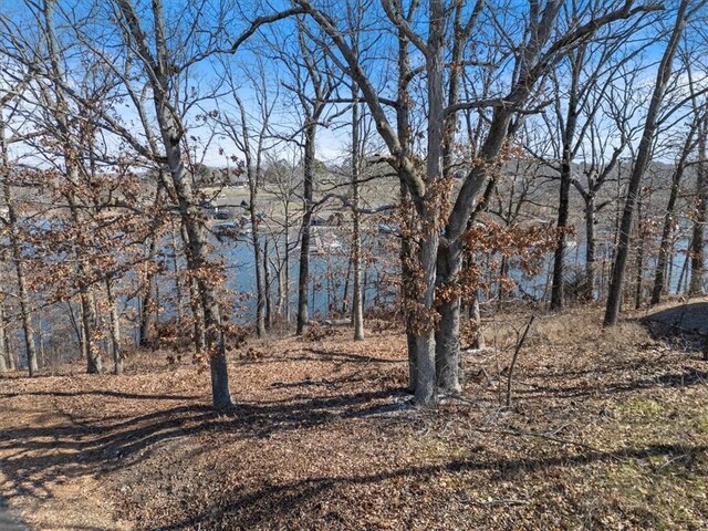 20 Talana Pl, Bella Vista, AR 72715 - photo 17