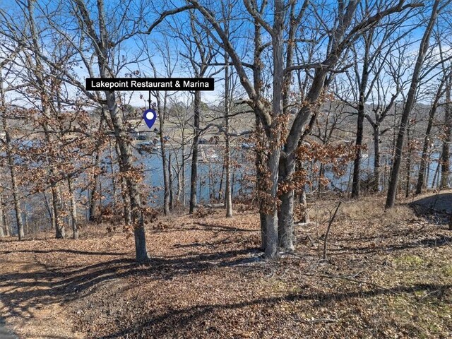 20 Talana Pl, Bella Vista, AR 72715 - photo 19