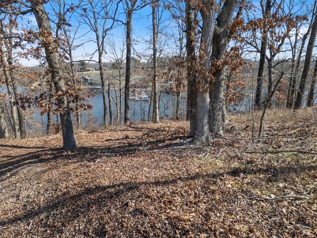 20 Talana Pl, Bella Vista, AR 72715 - photo 18
