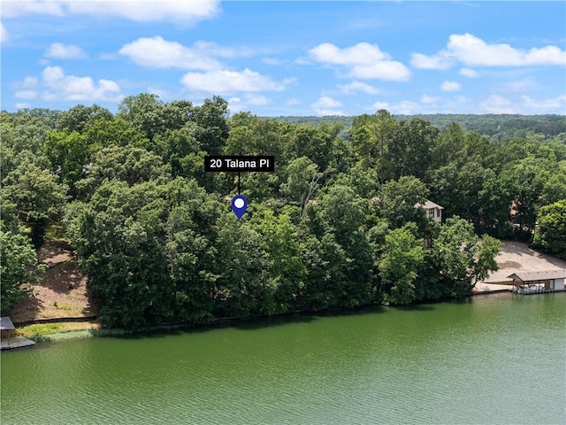 20 Talana Pl, Bella Vista, AR 72715 - photo 2