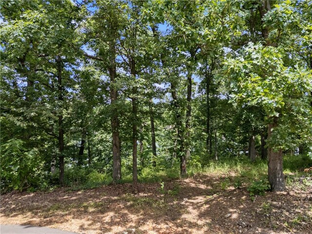 20 Talana Pl, Bella Vista, AR 72715 - photo 16