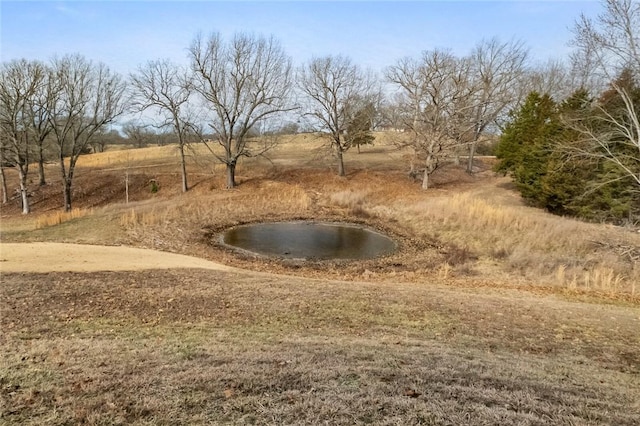 view of yard featuring a rural view