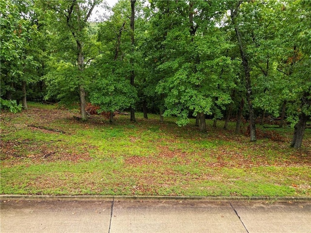 Listing photo 3 for TBD Serenity Point Ln, Rogers AR 72756