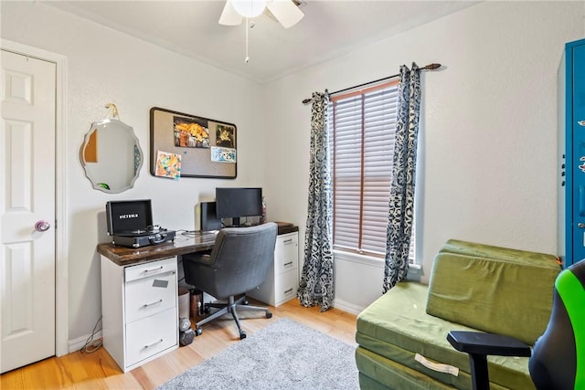 office space with ceiling fan and light hardwood / wood-style floors