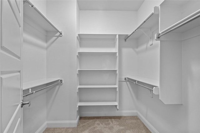 spacious closet featuring light colored carpet
