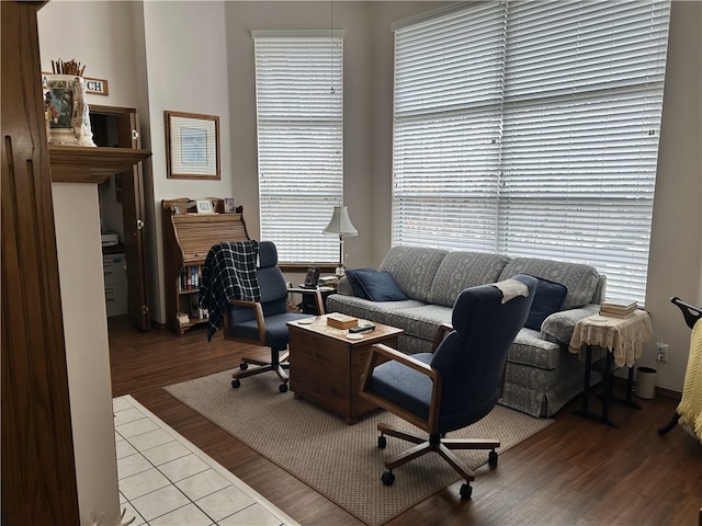 office featuring wood-type flooring