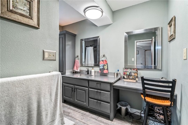 bathroom featuring wood finished floors and vanity