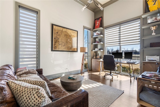 office featuring ornamental molding and hardwood / wood-style floors