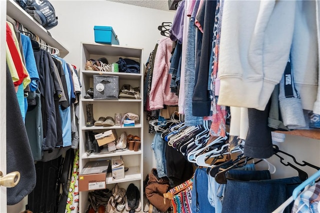 view of walk in closet