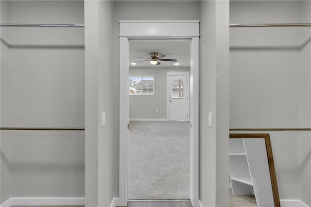 walk in closet featuring a ceiling fan and carpet flooring