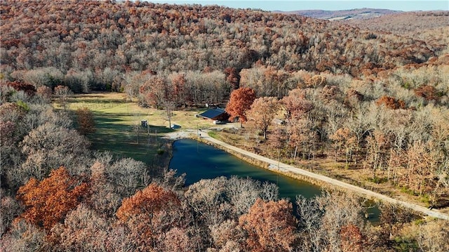 bird's eye view featuring a water view and a wooded view