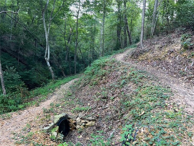LOT44OFBLOCK2 Twyford Ln, Bella Vista, AR 72714 - photo 8