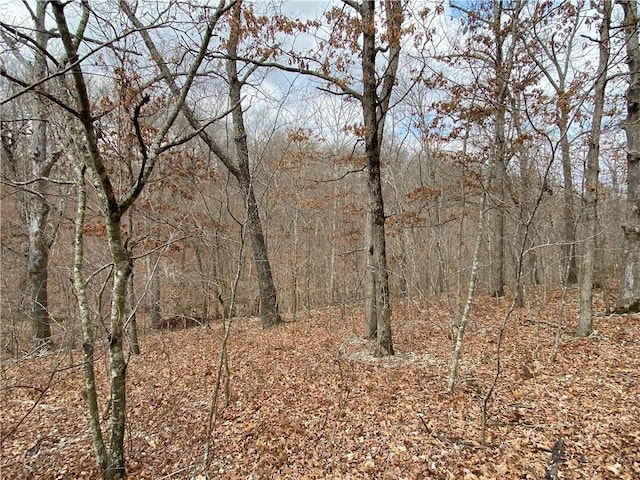 LOT44OFBLOCK2 Twyford Ln, Bella Vista, AR 72714 - photo 4