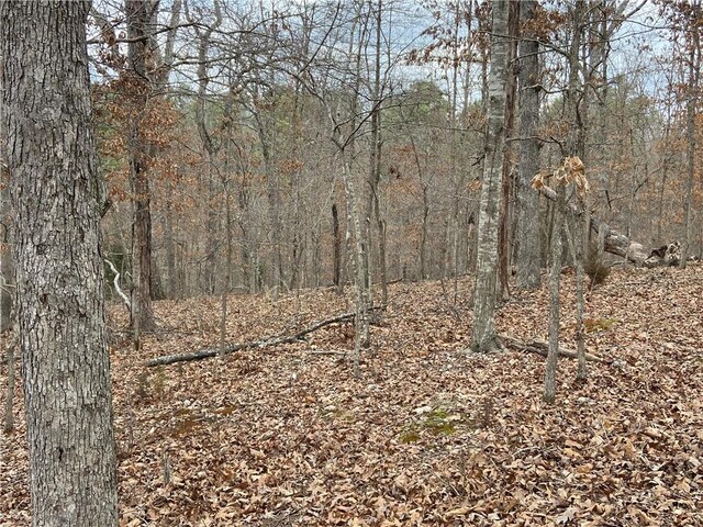 LOT44OFBLOCK2 Twyford Ln, Bella Vista, AR 72714 - photo 5