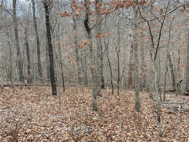LOT44OFBLOCK2 Twyford Ln, Bella Vista, AR 72714 - photo 6