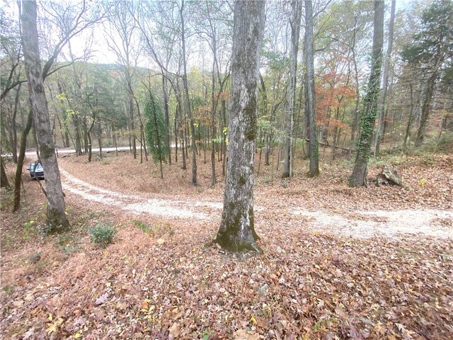 4137 NC-8167, Jasper, AR 72641 - photo 6