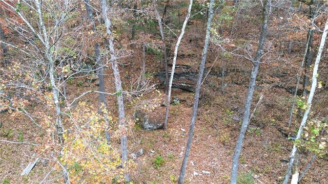 4137 NC-8167, Jasper, AR 72641 - photo 28