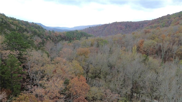 property view of mountains with a forest view