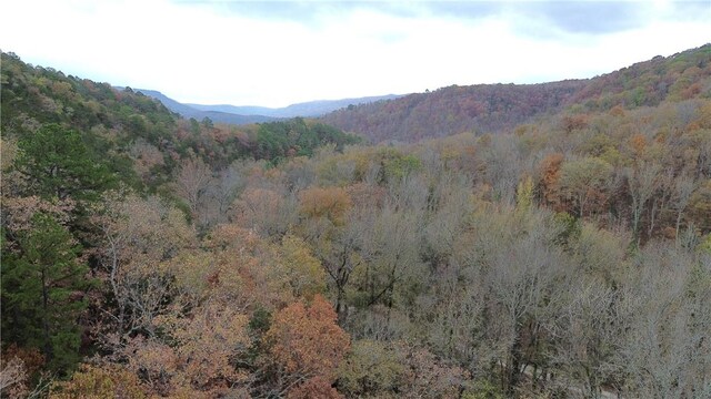 4137 NC-8167, Jasper, AR 72641 - photo 29