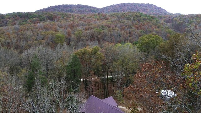 4137 NC-8167, Jasper, AR 72641 - photo 31