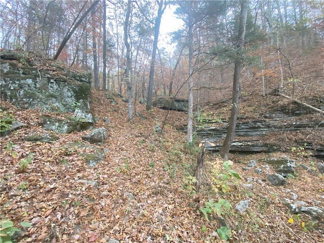 view of local wilderness with a view of trees