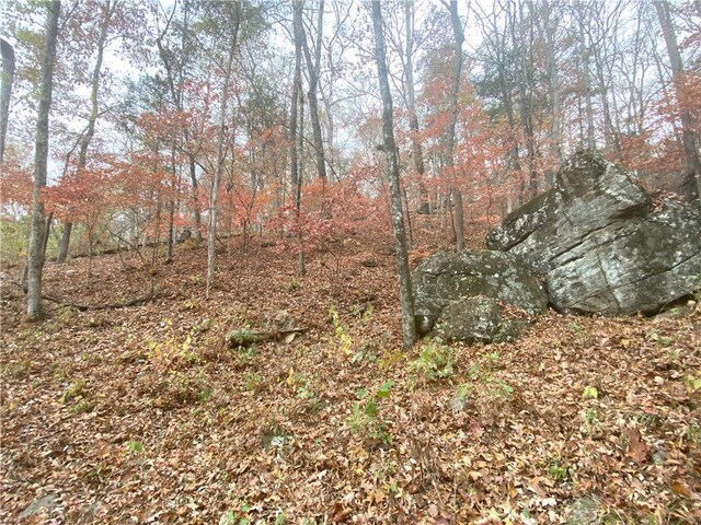 4137 NC-8167, Jasper, AR 72641 - photo 39