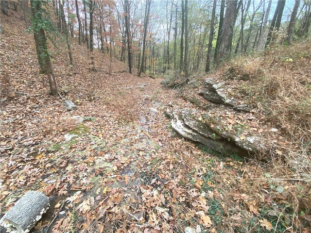 4137 NC-8167, Jasper, AR 72641 - photo 41