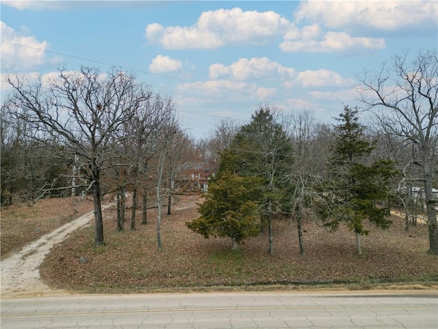 view of yard featuring driveway