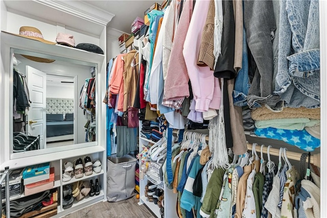 spacious closet with wood finished floors