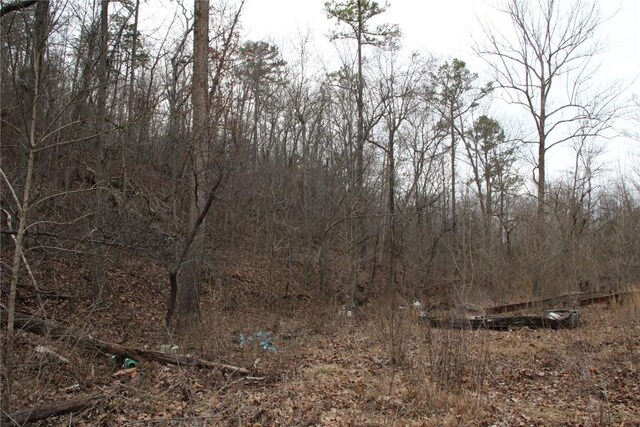 001-09085-000 Mc 3001, Yellville, AR 72687 - photo 17