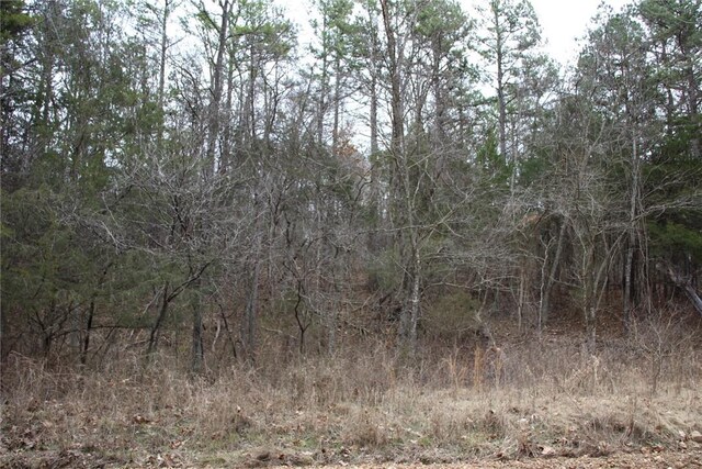 001-09085-000 Mc 3001, Yellville, AR 72687 - photo 18