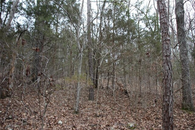 001-09085-000 Mc 3001, Yellville, AR 72687 - photo 20