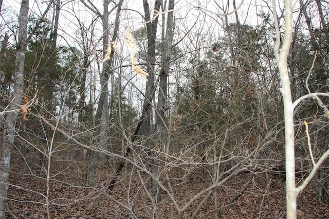 001-09085-000 Mc 3001, Yellville, AR 72687 - photo 23