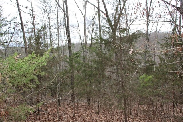 001-09085-000 Mc 3001, Yellville, AR 72687 - photo 29