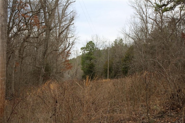 001-09085-000 Mc 3001, Yellville, AR 72687 - photo 30