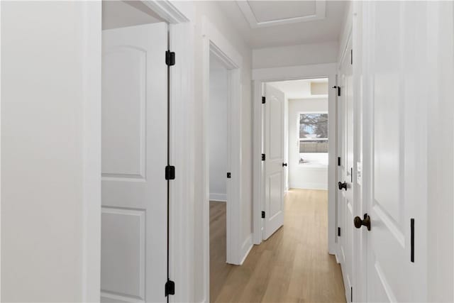 805 S W End St, Springdale, AR 72764 - hallway featuring light wood-type flooring and baseboards