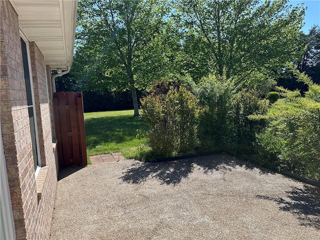 view of yard featuring a patio area