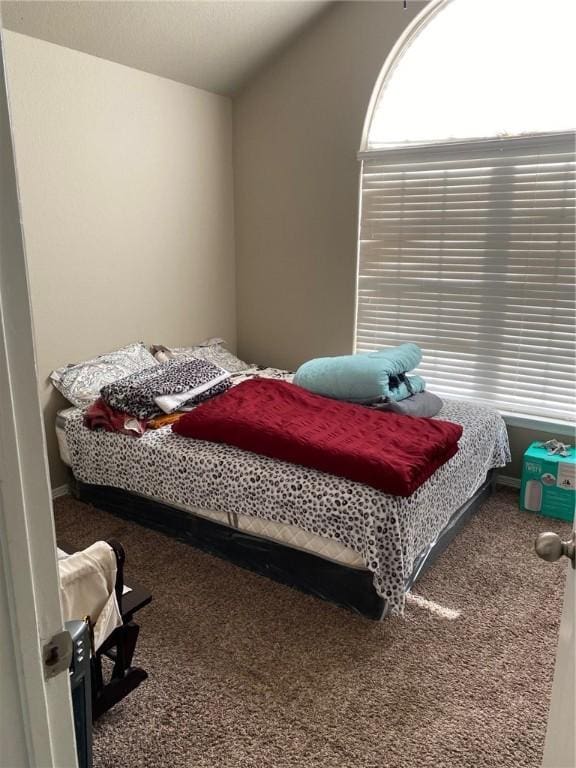 carpeted bedroom with lofted ceiling