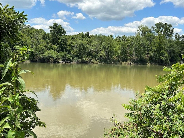 water view featuring a view of trees