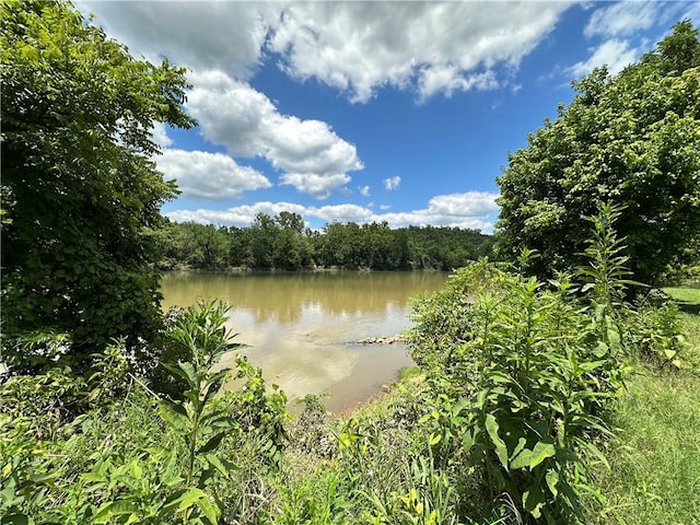 property view of water featuring a forest view