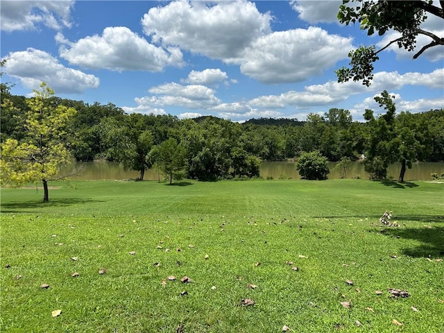 view of yard featuring a water view