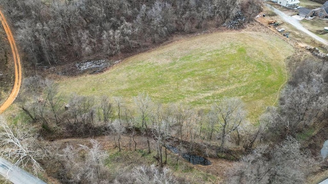 2638 Frye Rd, Southwest City, MO 64863 - photo 45