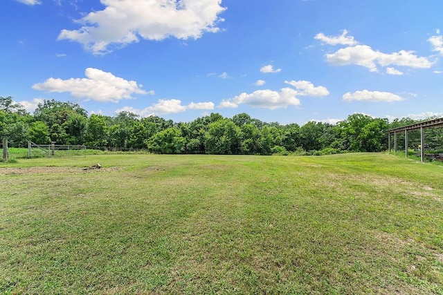 2638 Frye Rd, Southwest City, MO 64863 - photo 52