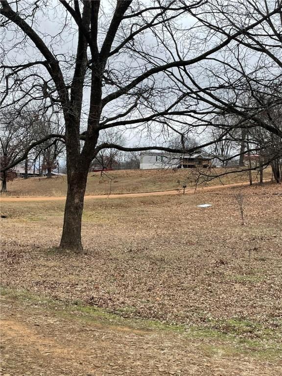 view of yard featuring a rural view