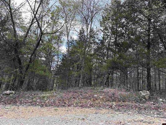 Dovewood Ln, Flippin AR, 72634 land for sale