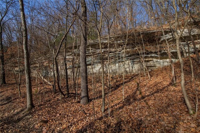 tbd Dam Site Loop, Garfield, AR 72732