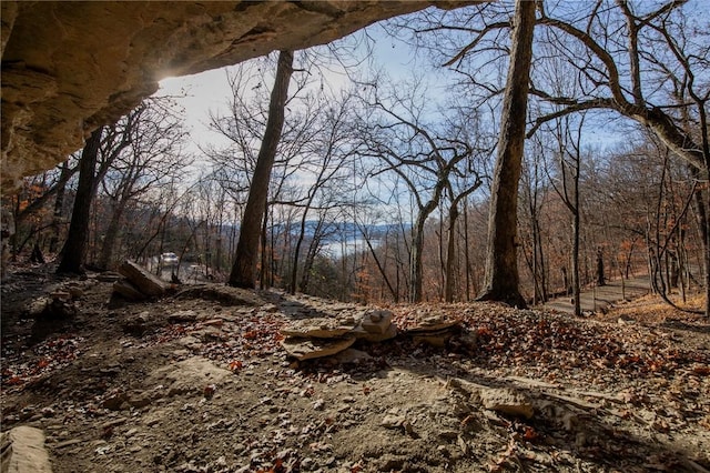 tbd Dam Site Loop, Garfield, AR 72732
