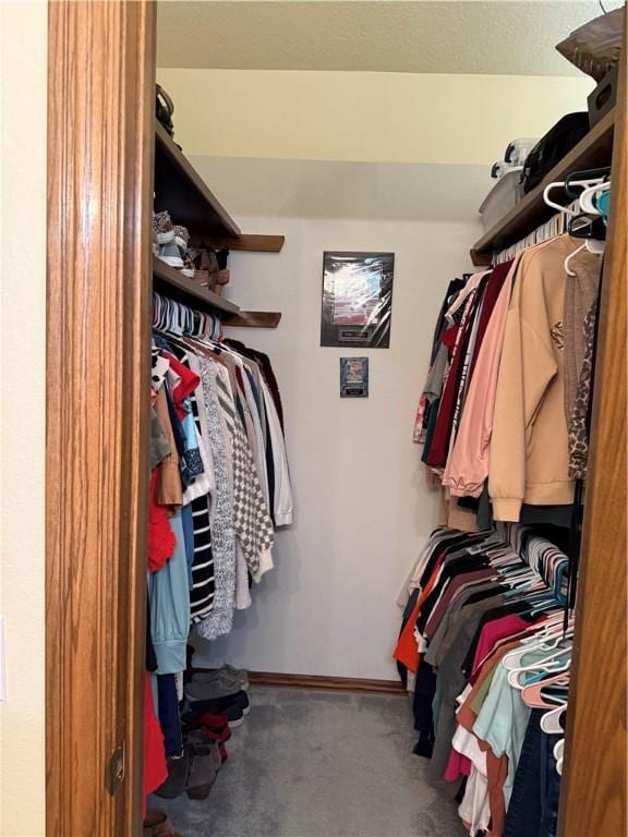 spacious closet with carpet